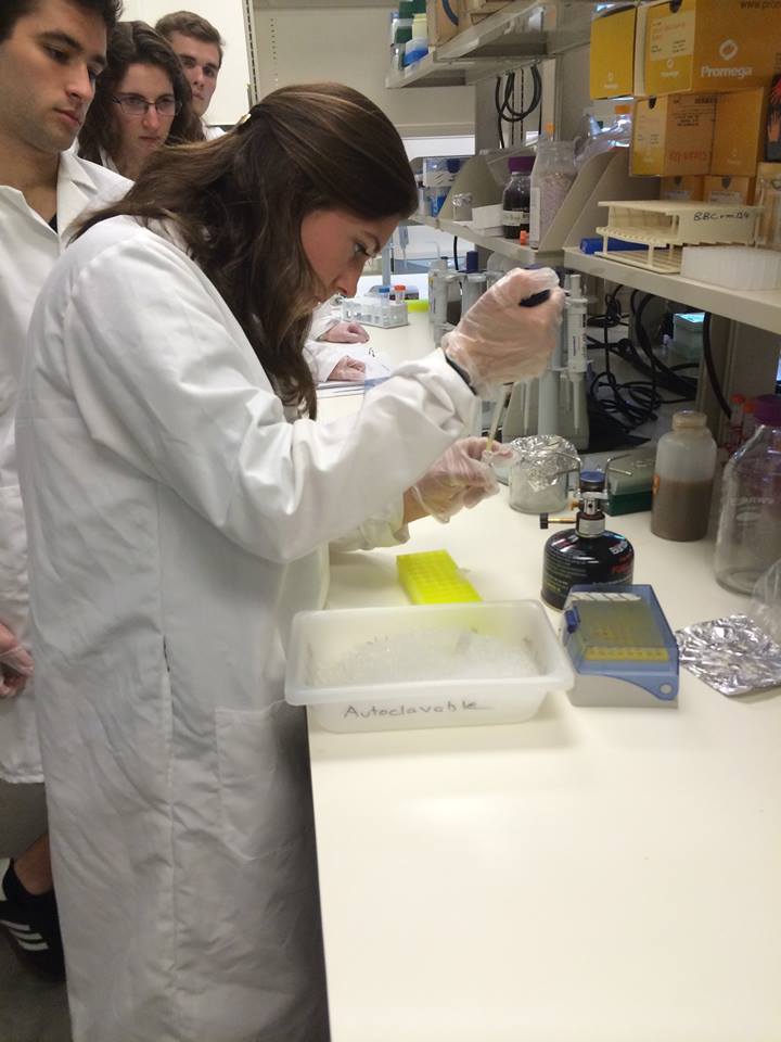 Hailey working in the iGMEM lab